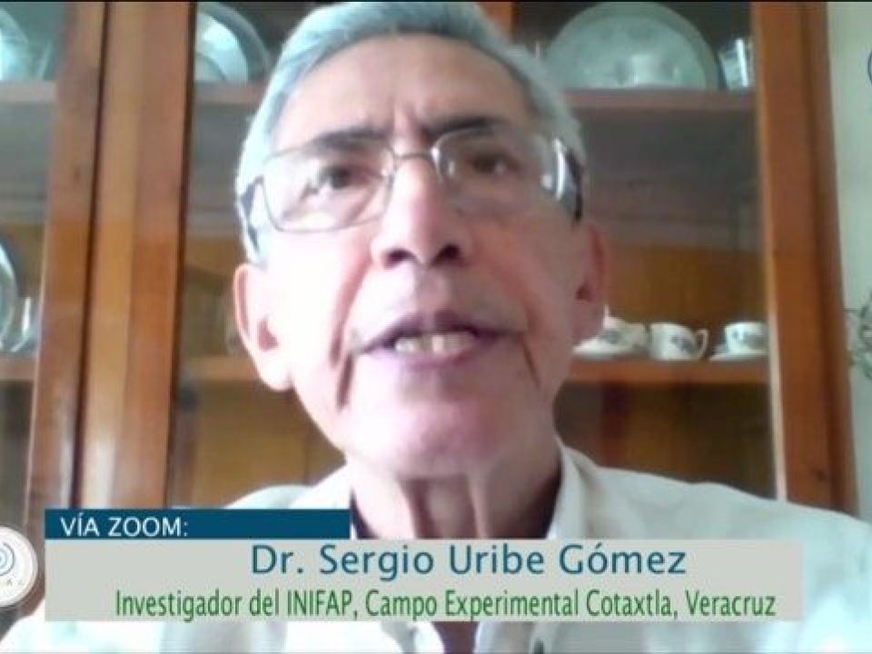 Sergio Uribe Gómez