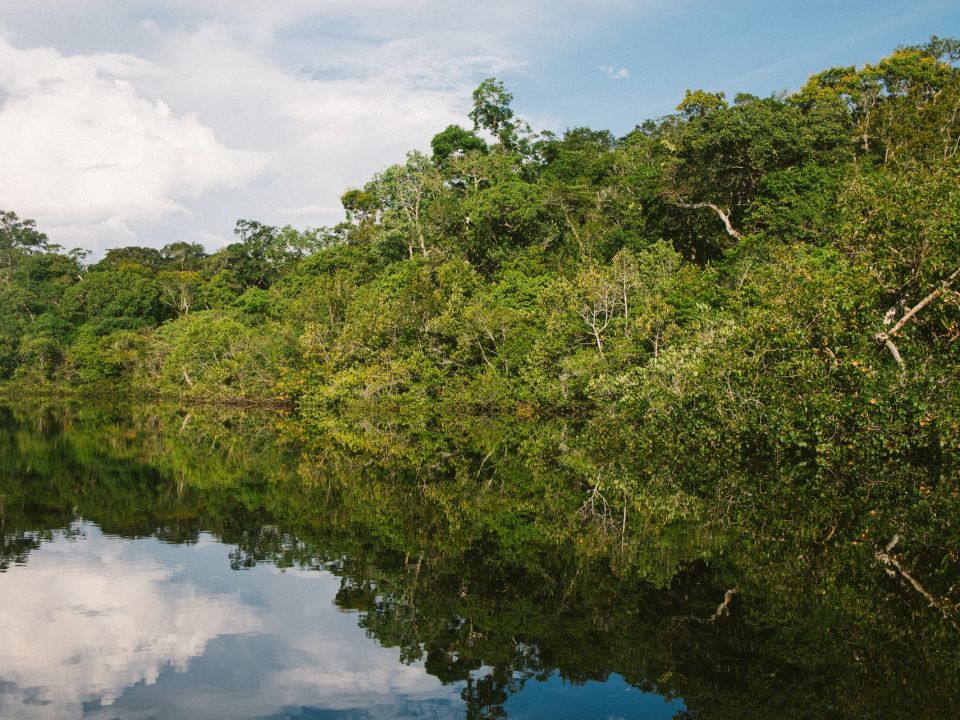 Amazonía