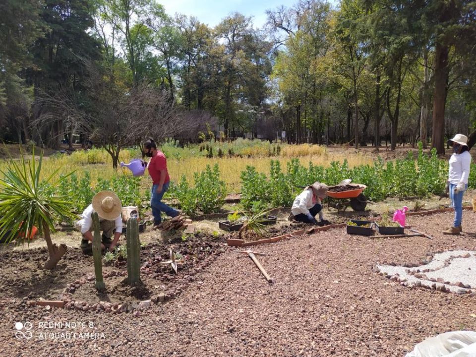 Huerto agroecológico