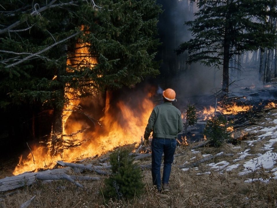 Incendio forestal