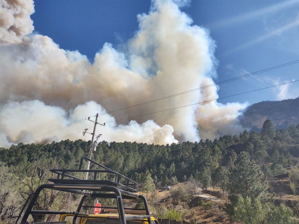 Incendio forestal