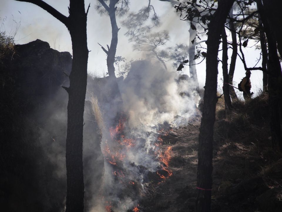 Incendio forestal