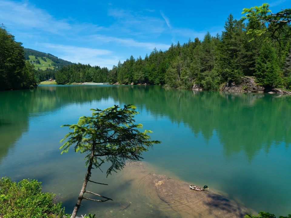Lago