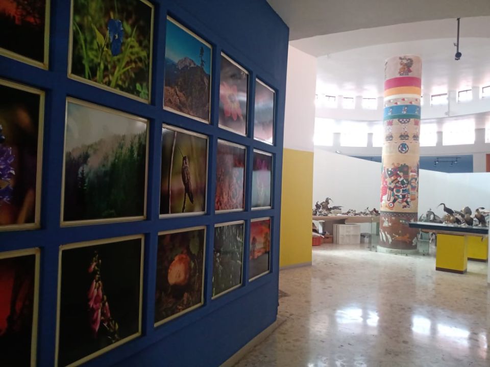 Museo de Ciencias Naturales