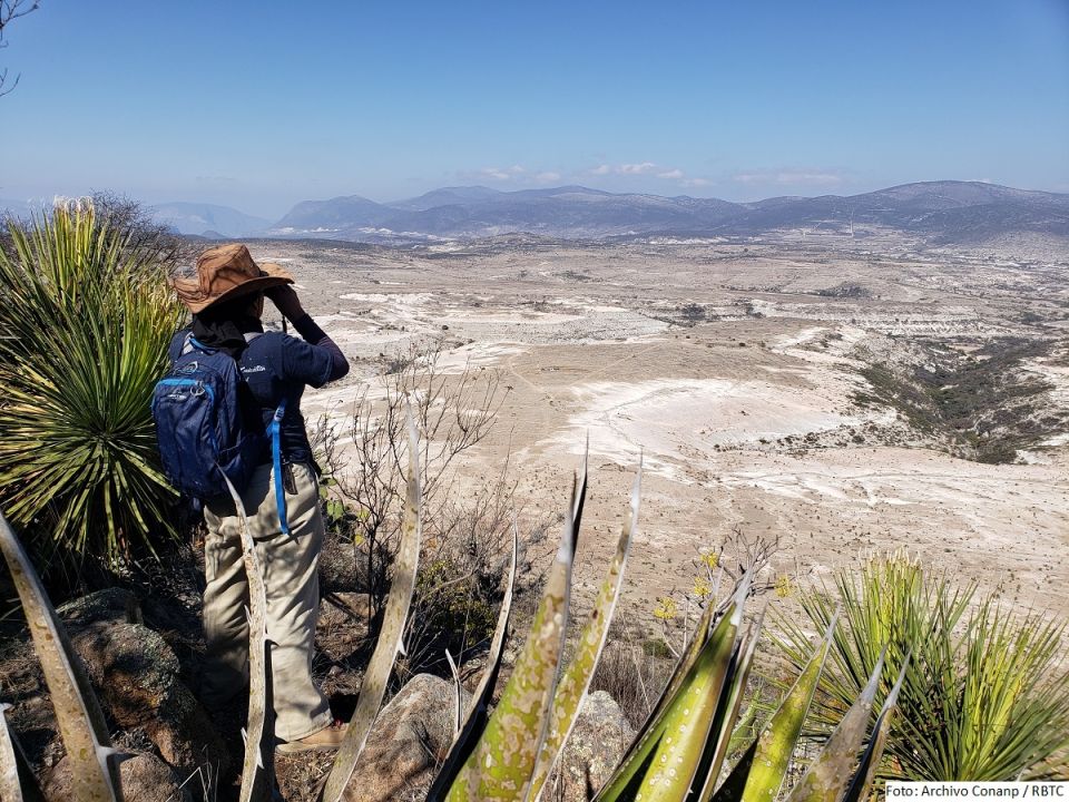 Biósfera Tehuacán