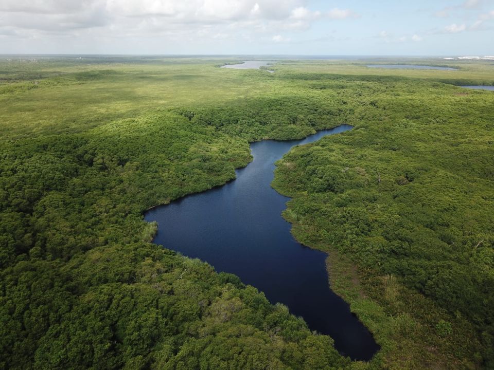 Quintana Roo