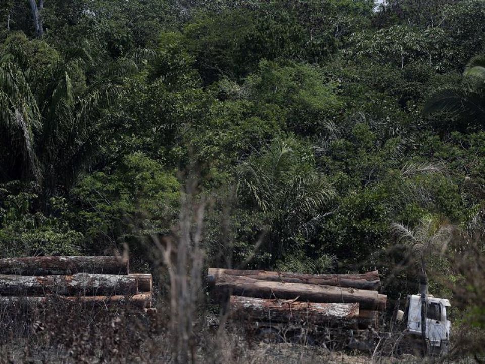  Deforestación en la Amazonía