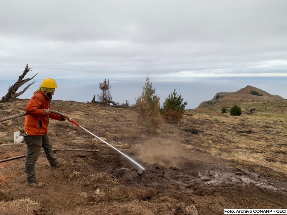 Incendio en Reserva de la Biósfera Isla Guadalupe