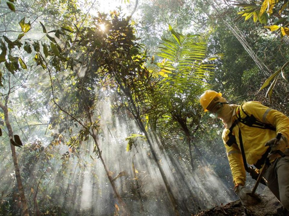 Deforestación en la Amazonía