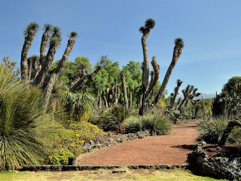 Jardín botánico