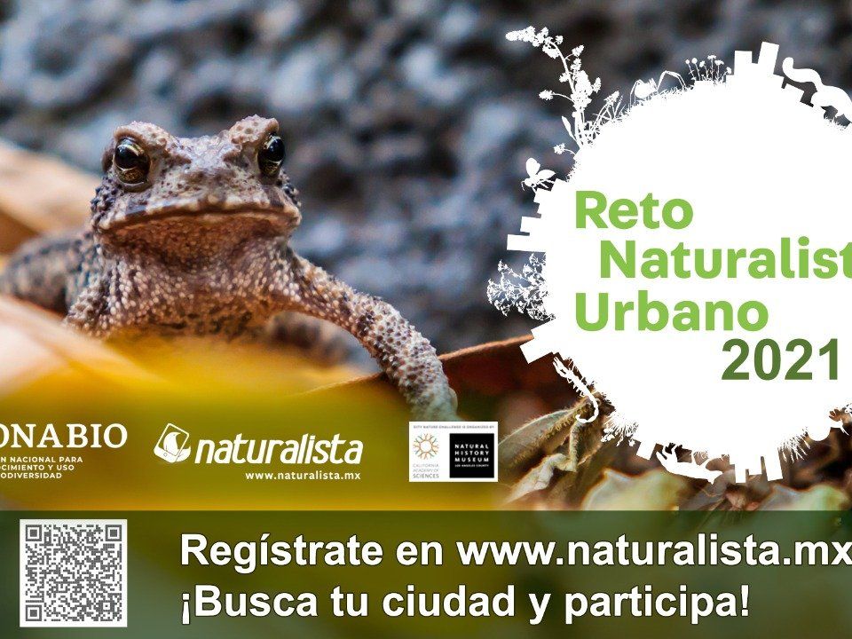 Reto Naturalista