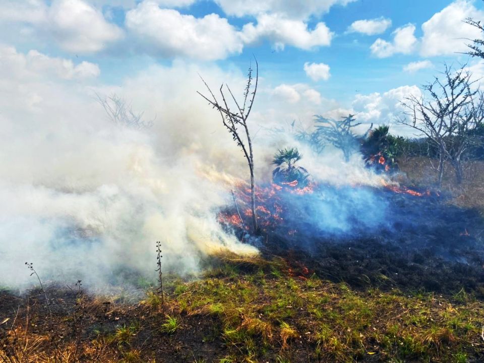 Incendio en Quintana Roo