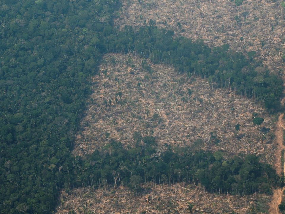 Deforestación de la Amazonía