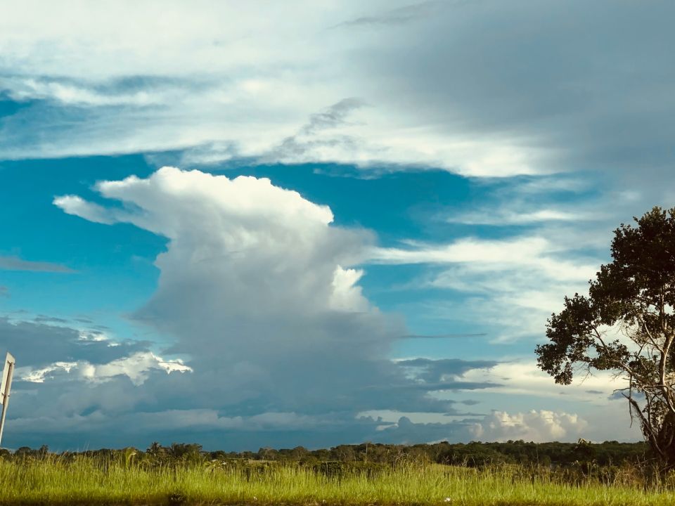 Guyana