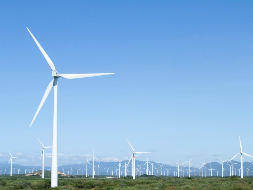 Parque de energía Eólica