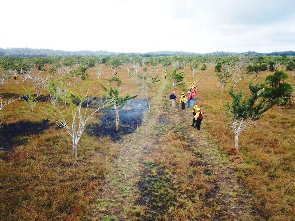 Incendios en Quintana Roo