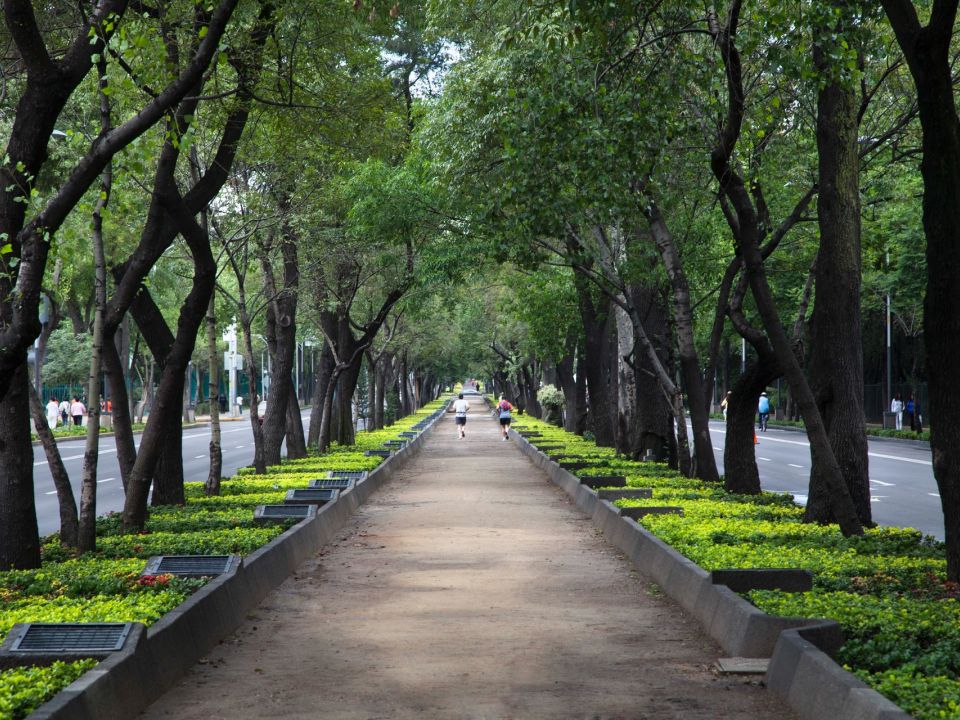 Paseo de Reforma