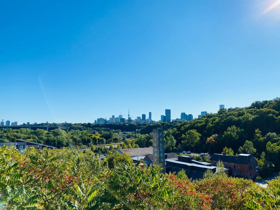 Ciudad verde