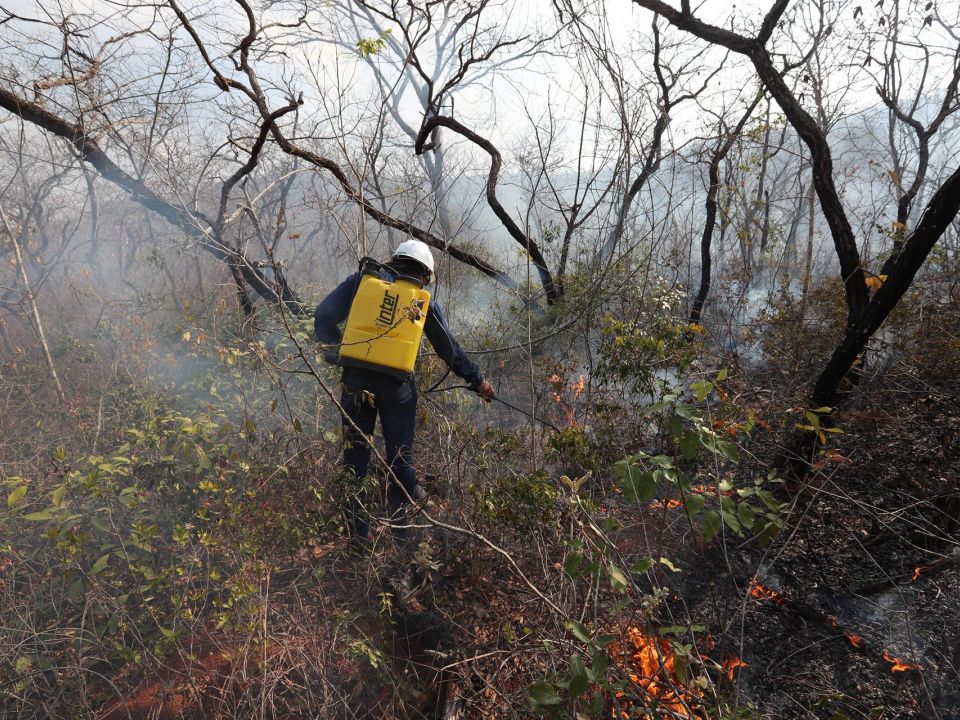 Incendios forestales