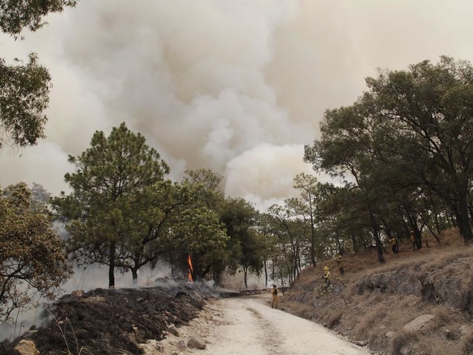 Incendio forestal