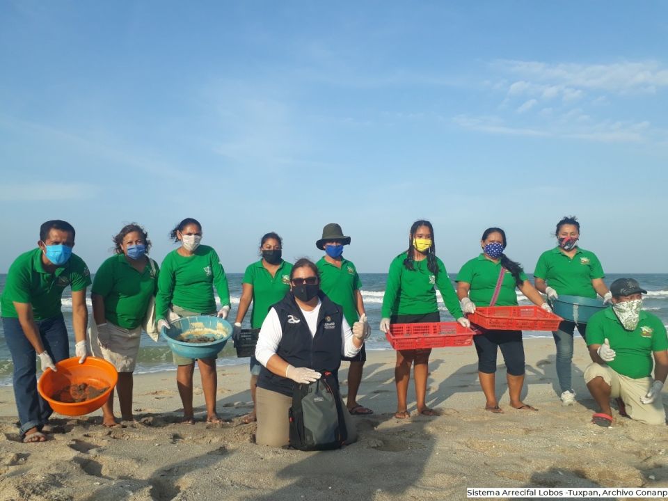 Sistema Arrecifa lLobos Tuxpan