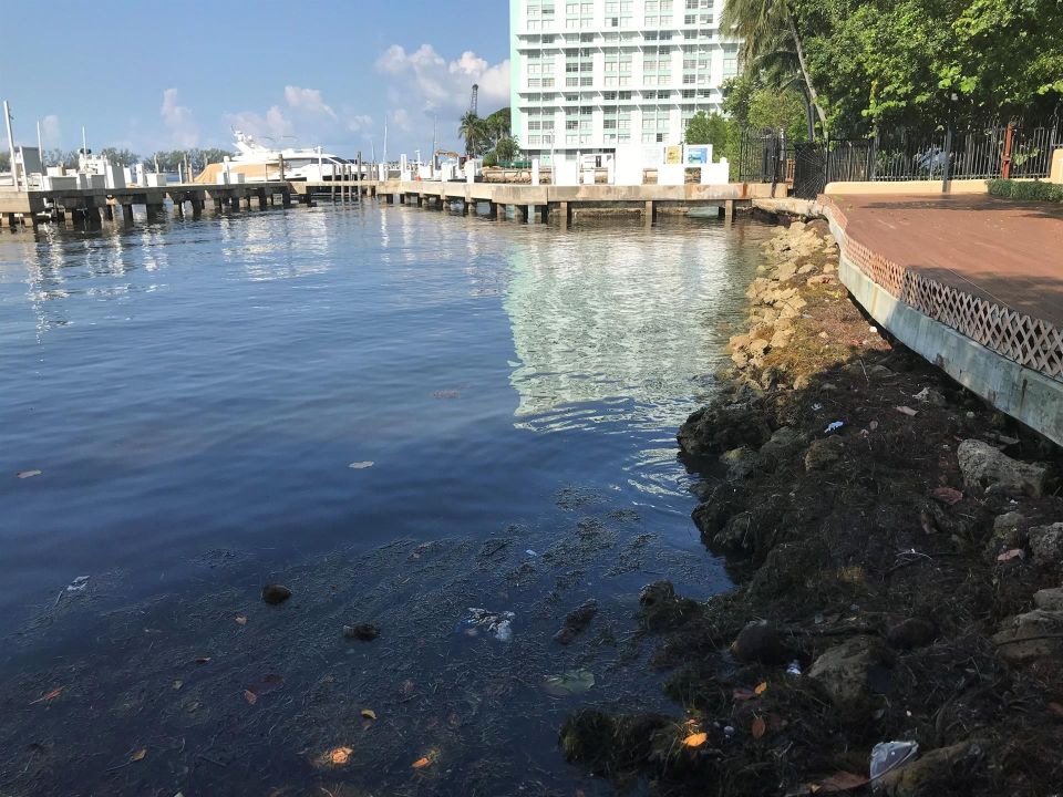 La Bahía Vizcaína