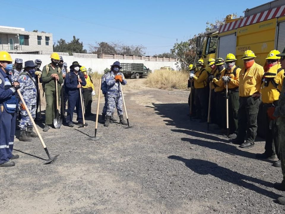 Combatientes de fuego