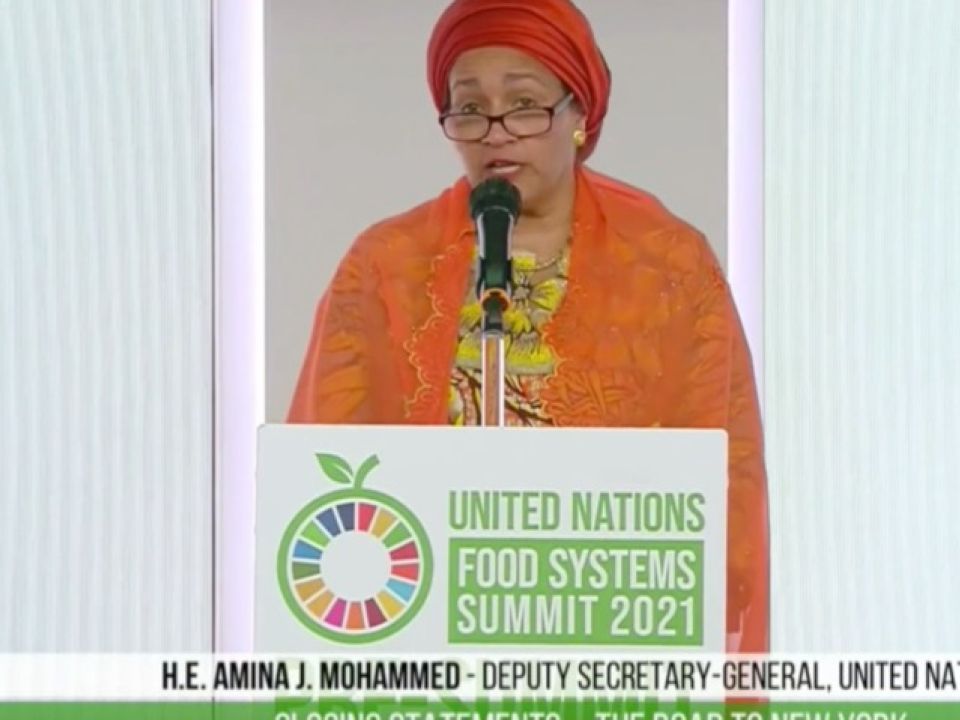 Amina Mohammed