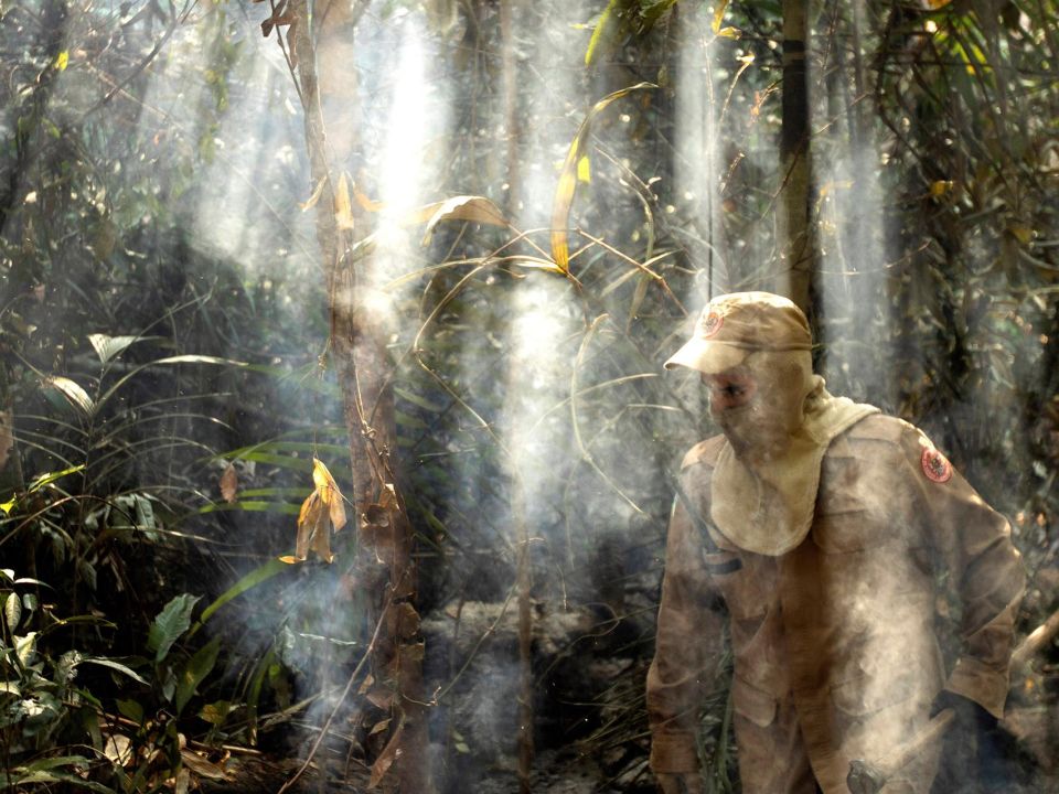 Incendio en la Amazonía