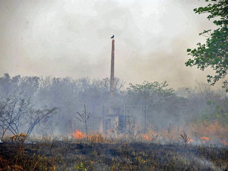 Incendio en la Amazonía