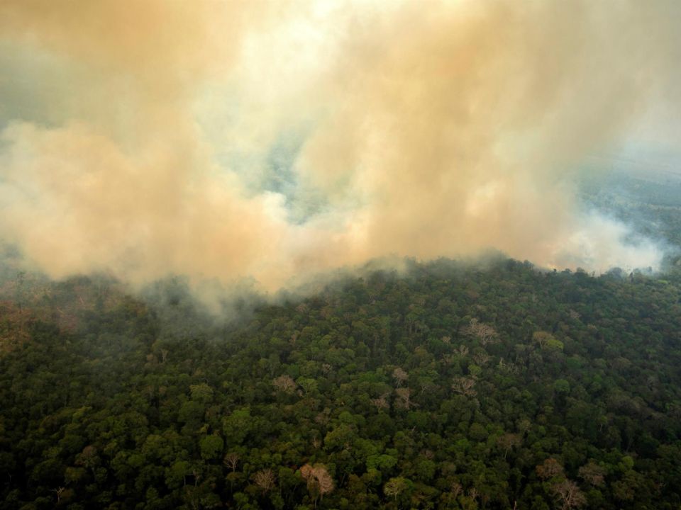 Incendio en la Amazonía