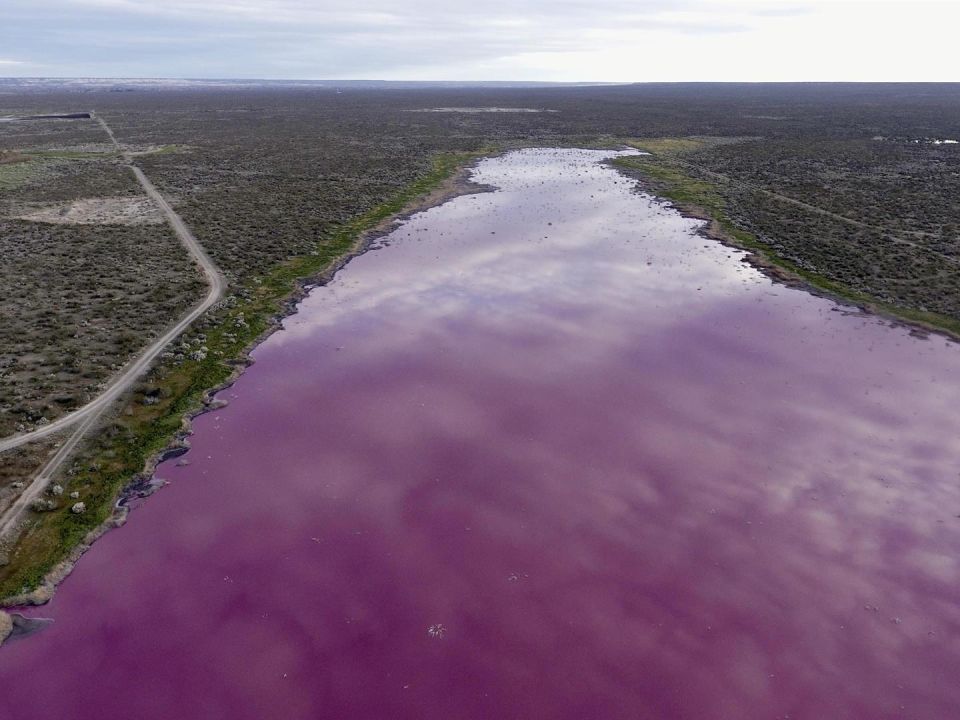 Laguna rosa