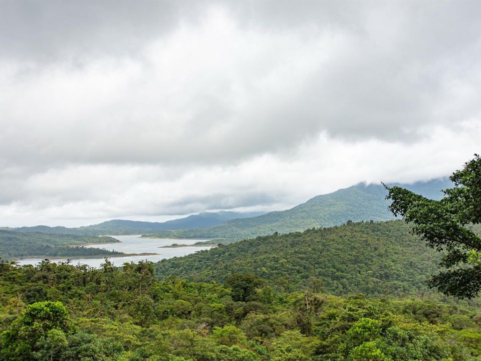 Reserva Hidrológica de Fortuna