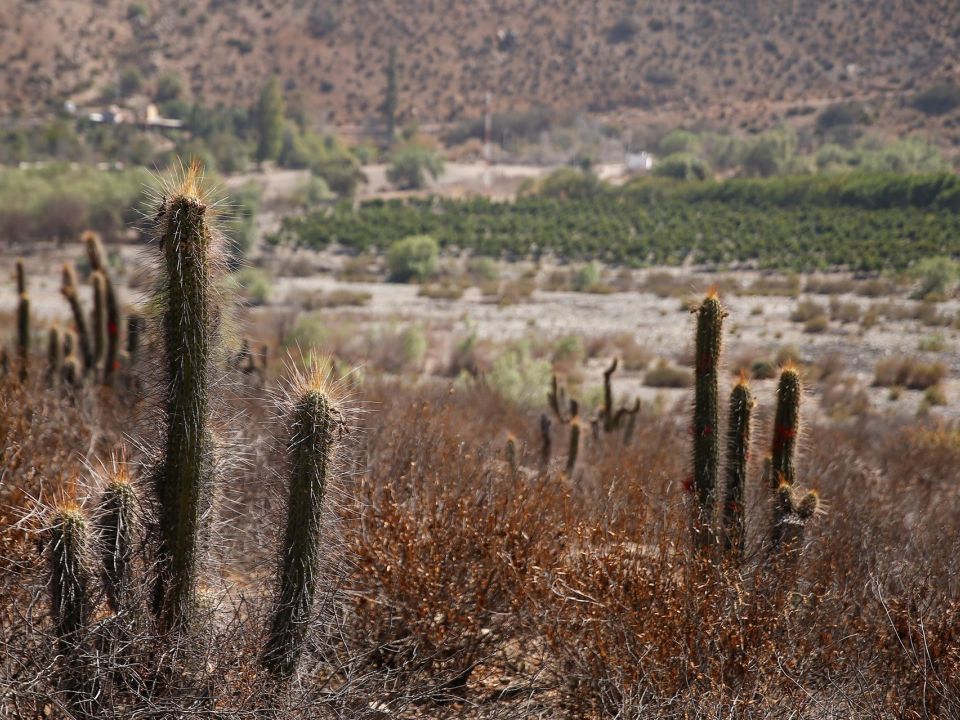 Desierto en Chile