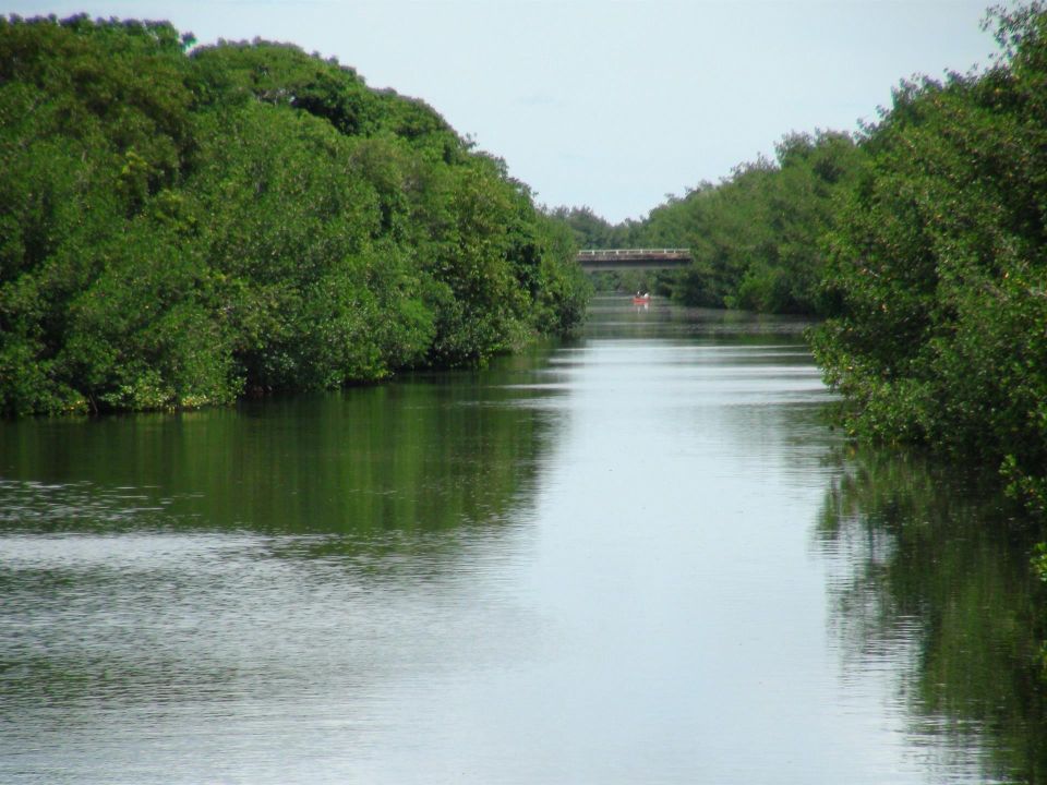 Everglades