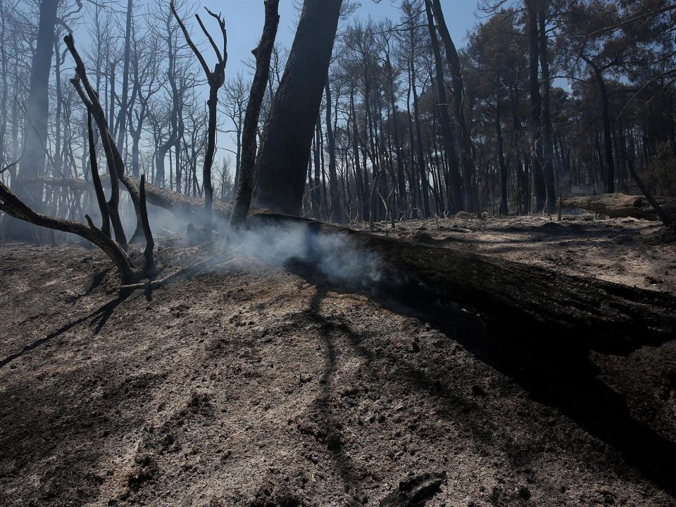 Incendio