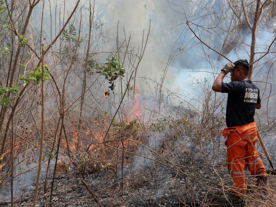 Incendio forestal