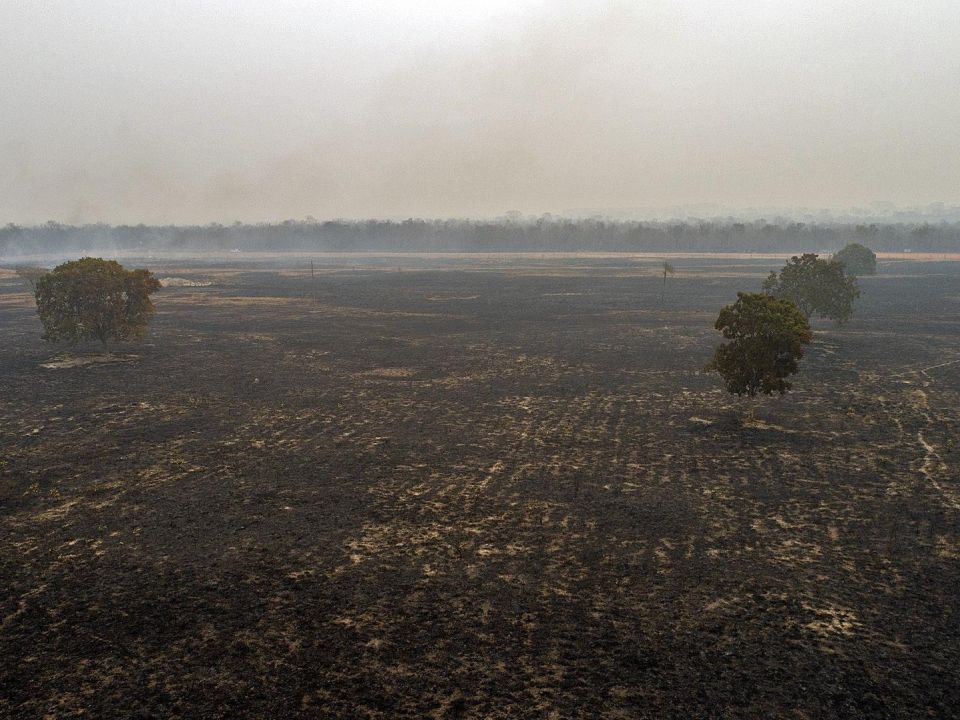 Incendio en la Amazonía