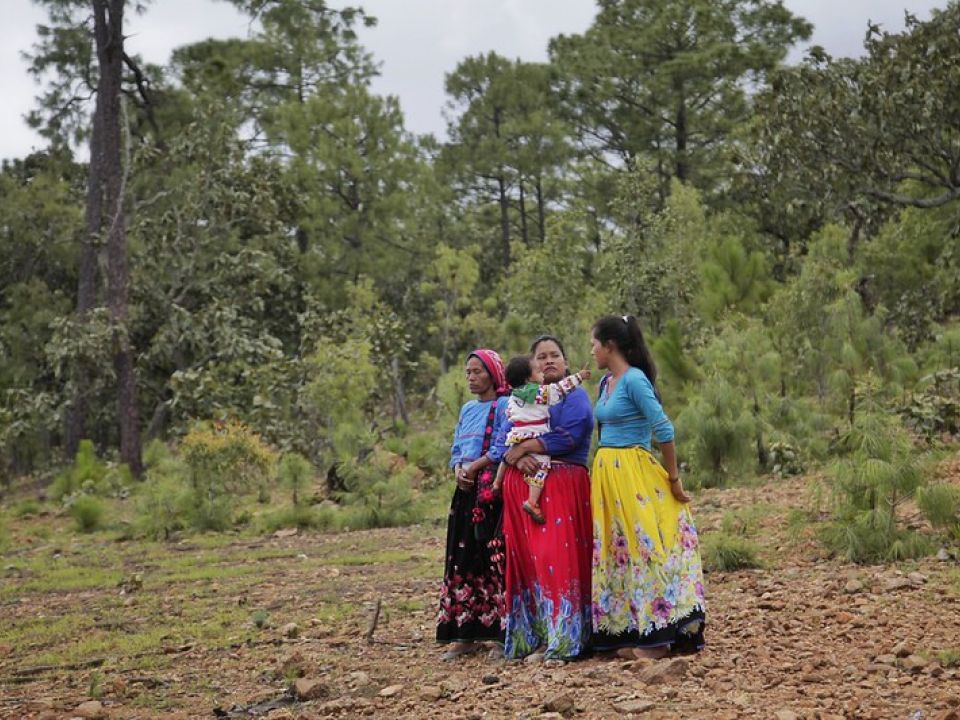 Mujeres Wixárikas