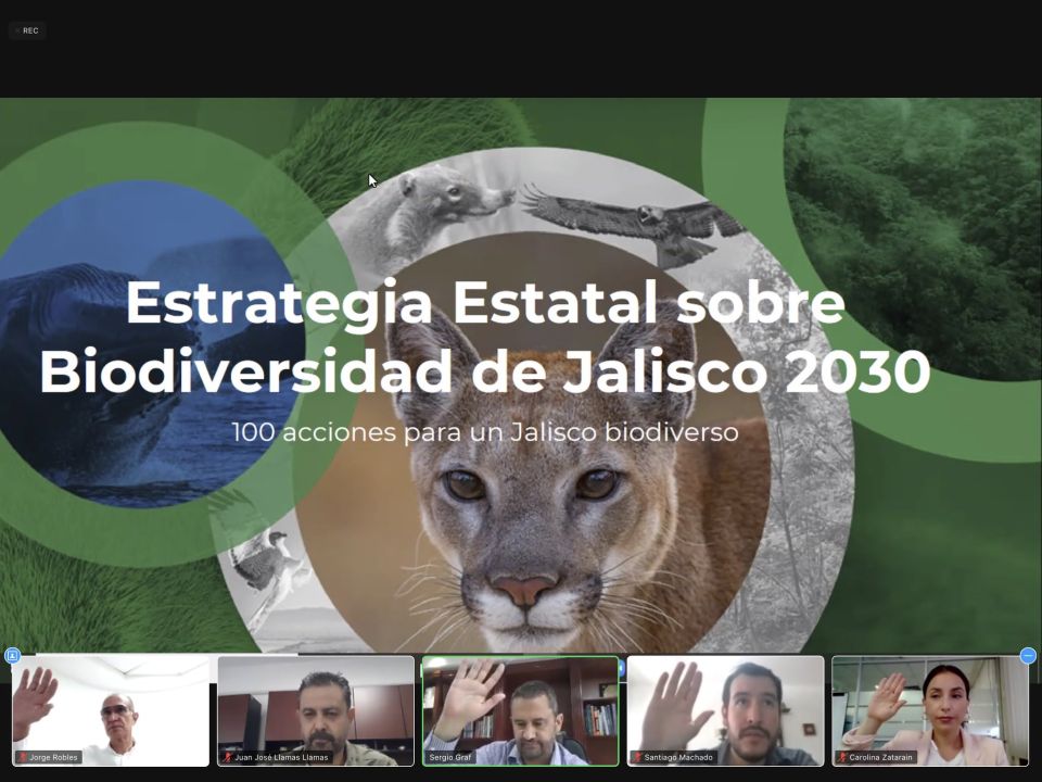 Estrategia de biodiversidad