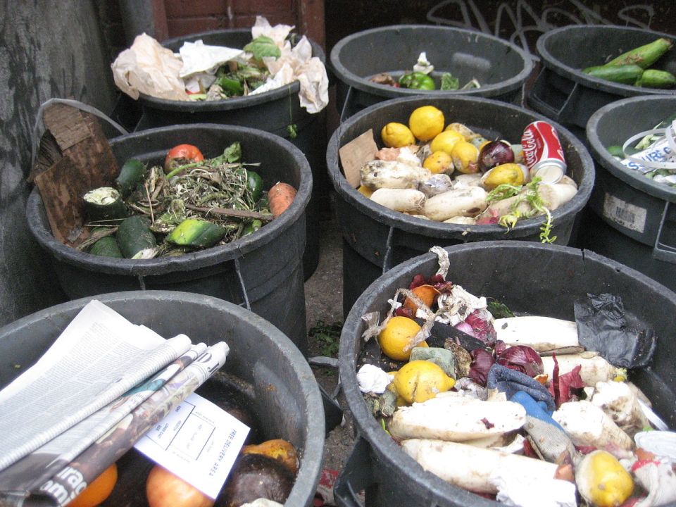 Comida en la basura