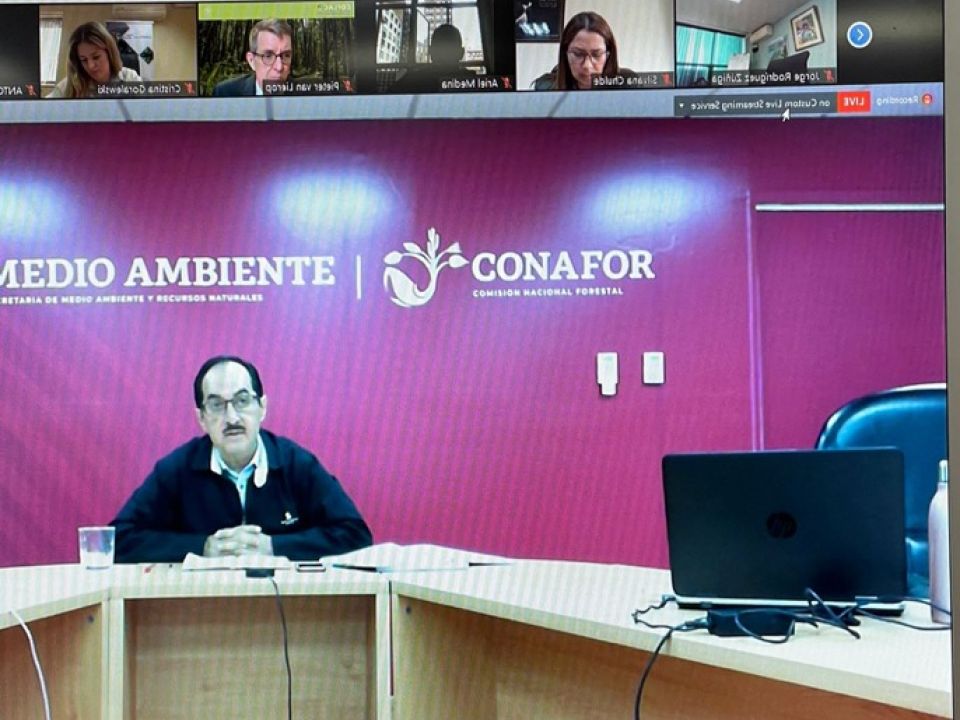 Conafor