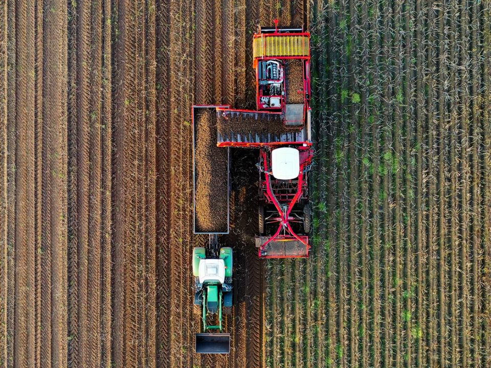 Cultivo y tractor