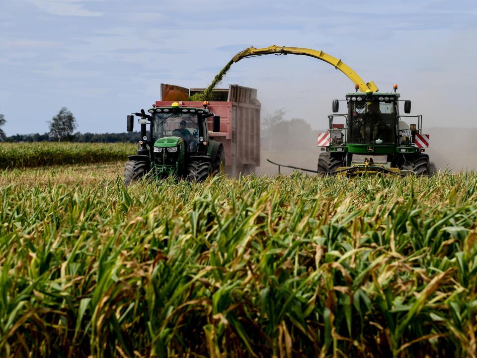 El estado mundial de la agricultura y la alimentación 2021: Lograr