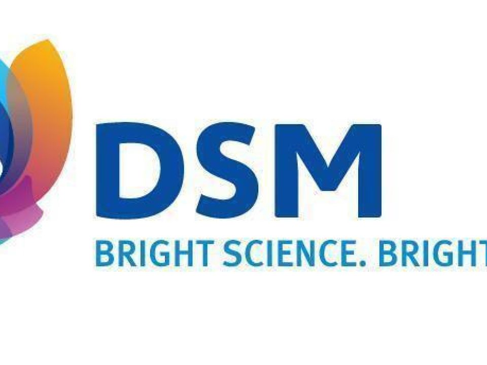 DSM