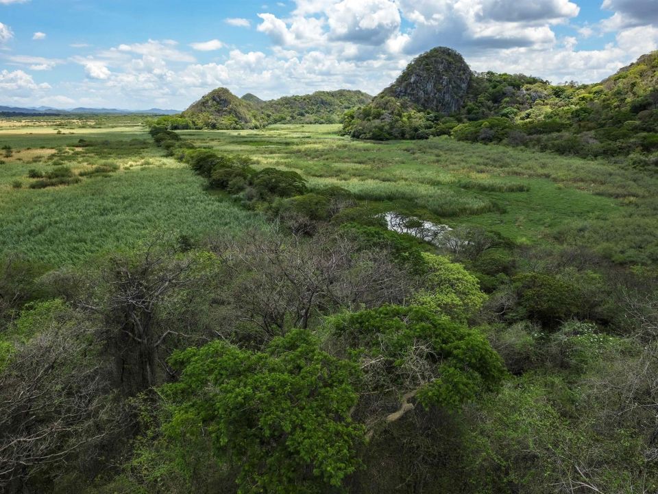 Parque Nacional Palo Verde