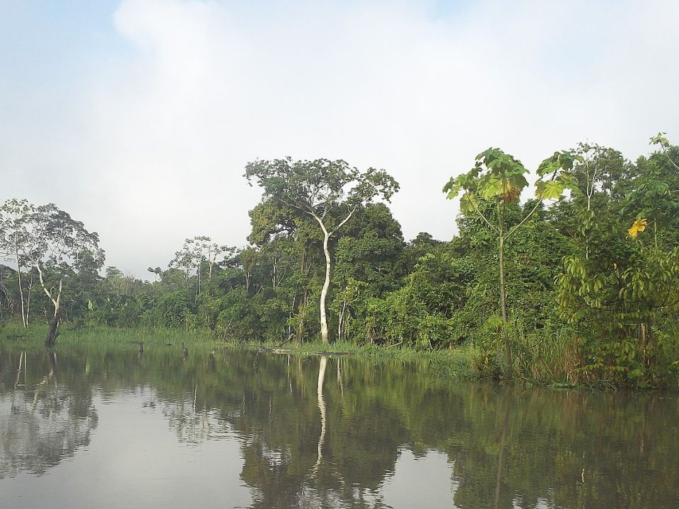 Amazonía peruana