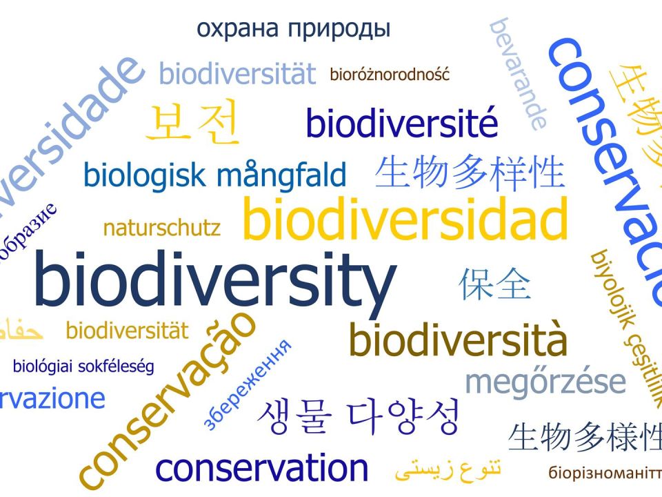 Biodiversidad