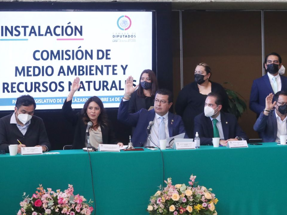 Comisión de medio ambiente