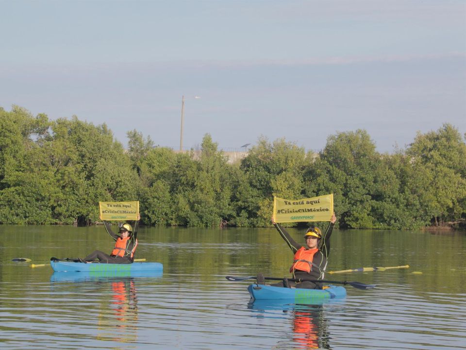 Activistas de Greenpeace